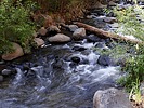 photo thumbnail #8