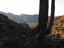 photo thumbnail #5