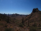 photo thumbnail #14