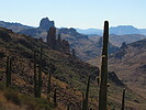 photo thumbnail #15