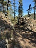 photo thumbnail #5
