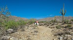 photo thumbnail #6