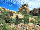photo thumbnail #15