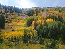 photo thumbnail #12