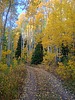 photo thumbnail #4