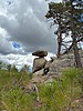 photo of comment