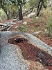 photo of comment