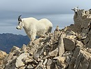 2025-09-19 :1: Mount Timpanogos Loop :: John9L
