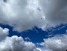 photo thumbnail #11