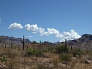 photo thumbnail #9
