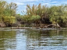 2025-09-21 :: Lower Salt River - Waterusers to PhonD :: DesertNymph