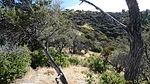 photo thumbnail #11