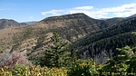 photo thumbnail #12