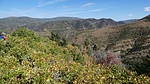 photo thumbnail #13