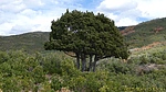photo thumbnail #11
