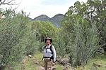 recent photo