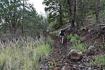photo thumbnail #7