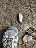 photo of comment