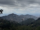photo thumbnail #8