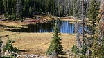 photo thumbnail #7
