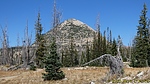 photo thumbnail #9