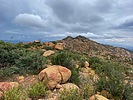 photo of comment
