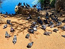 photo thumbnail #11