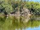 photo thumbnail #15