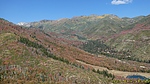 photo of comment