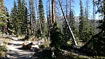 photo thumbnail #3