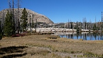 photo thumbnail #12