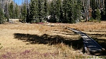 photo thumbnail #14