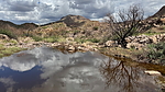 photo thumbnail #11