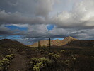 photo thumbnail #8