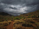photo thumbnail #11