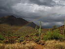 photo thumbnail #12