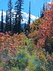 photo thumbnail #14