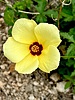 photo thumbnail #14