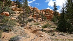 photo thumbnail #5
