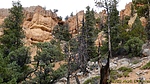 photo thumbnail #13