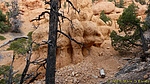 recent photo