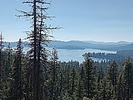photo thumbnail #1