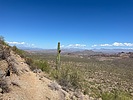 photo thumbnail #2