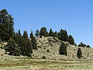 recent photo