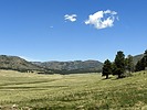 photo thumbnail #10