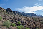 photo thumbnail #11