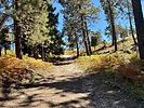 photo thumbnail #10