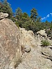 photo thumbnail #7