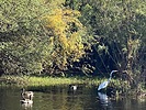 2025-09-24 :: Lower Salt River - Waterusers to PhonD :: DesertNymph