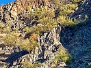 2025-09-24 :: Lower Salt River - Waterusers to PhonD :: DesertNymph